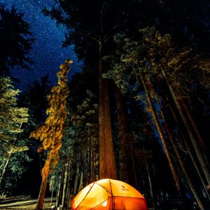 Alpine Trails India - Camping